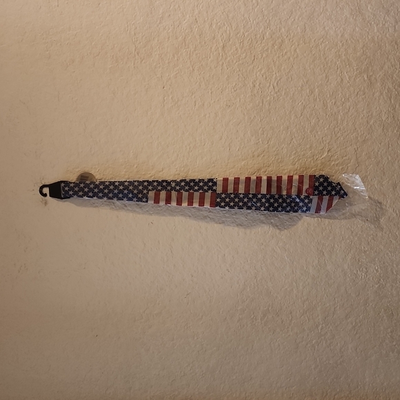 Other - LOT OF 10 AMERICAN FLAG TIES